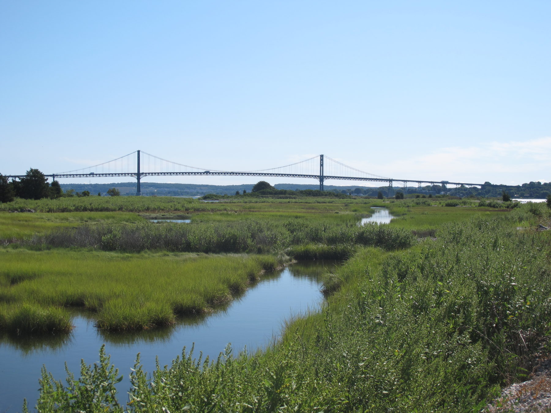 Salt marshes and other coastal buffers offer a natural barrier protecting Narragansett Bay from human activity.