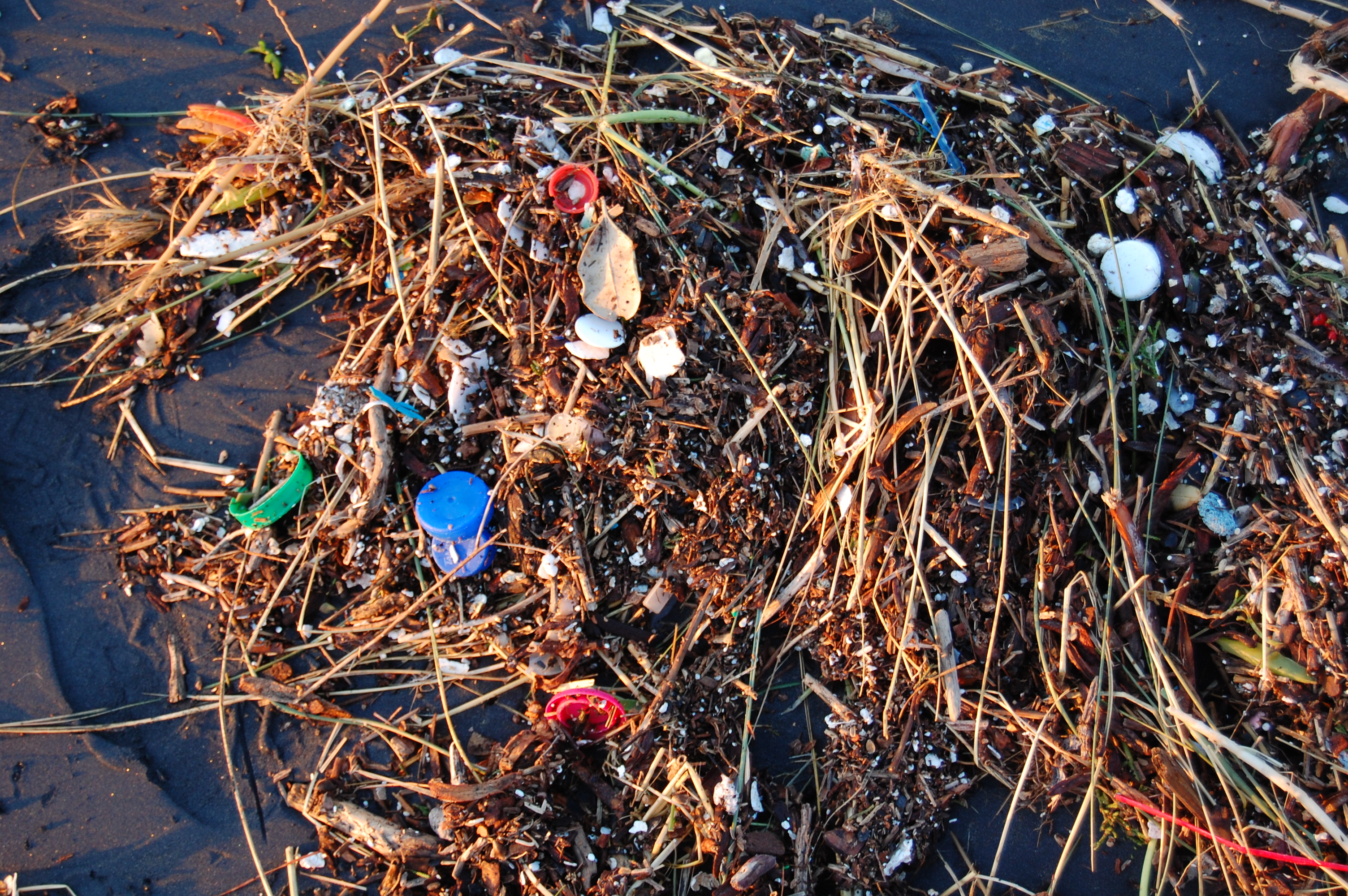 Plastic-Debris-in-water