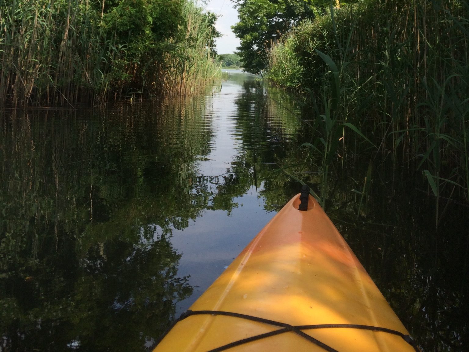 kayak-on-the-water-under-trees