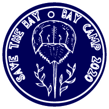 Camp 2020 logo