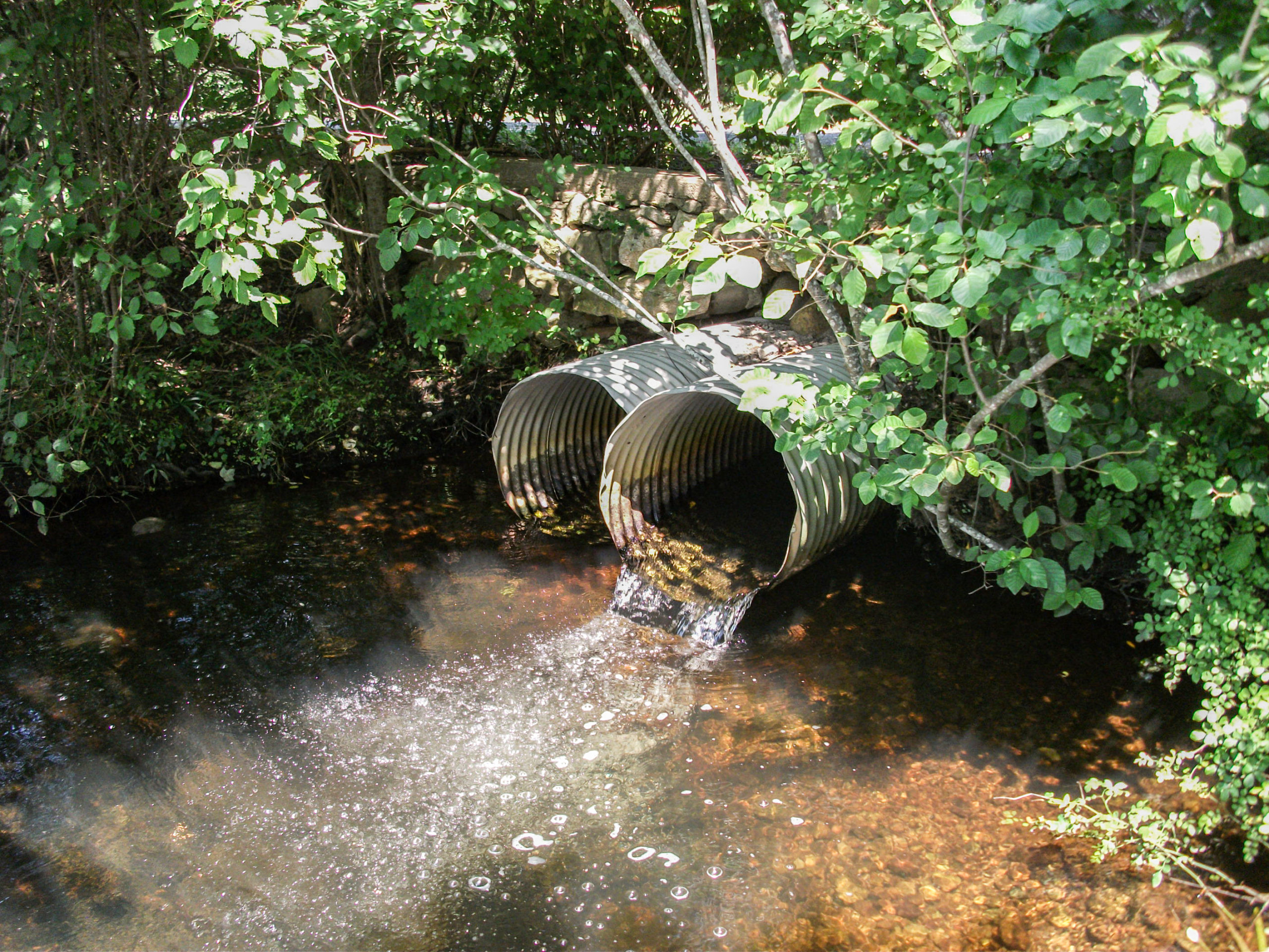 Culvert-resiliency-project