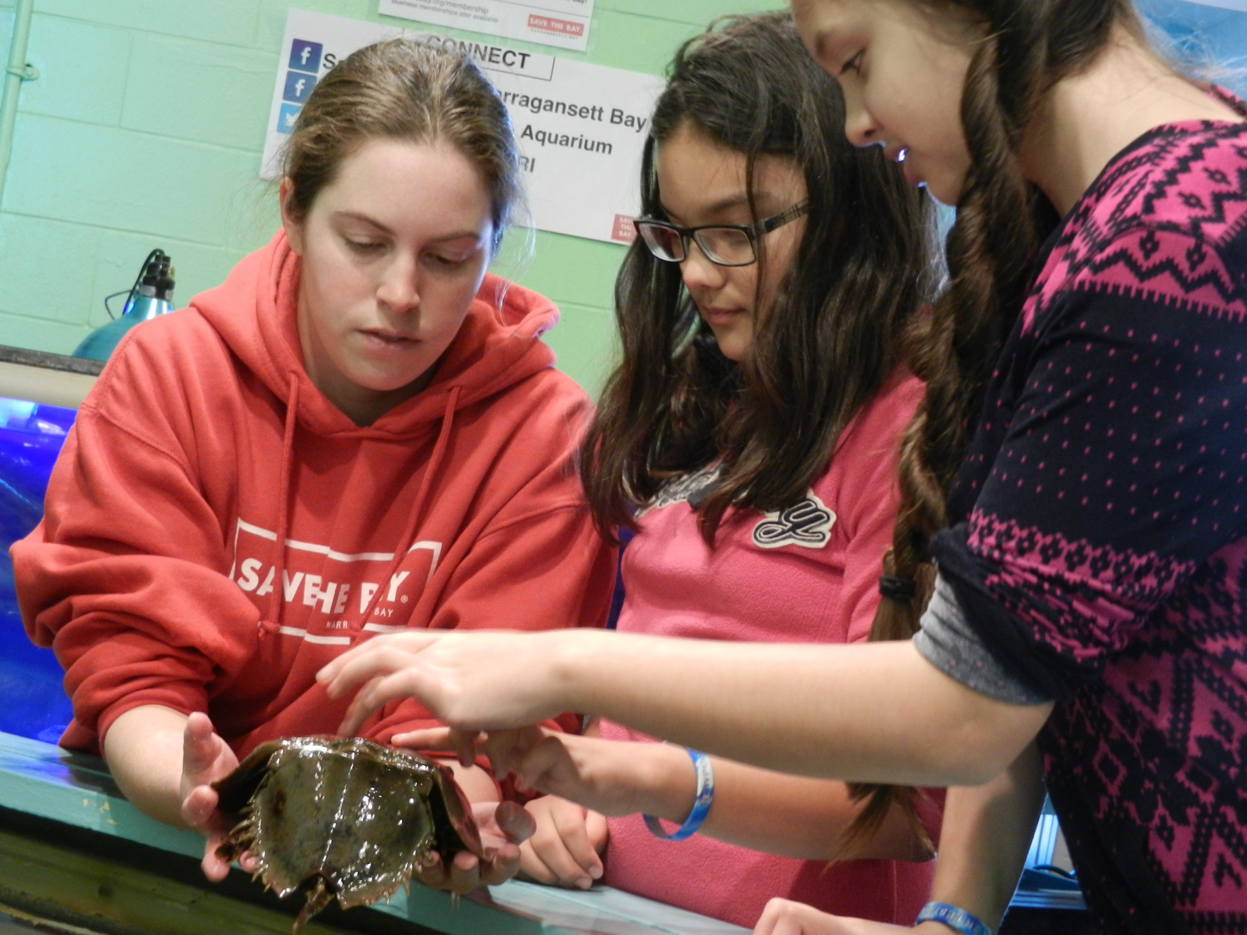 educator-showing-students-horseshoe-crab-exploration-center