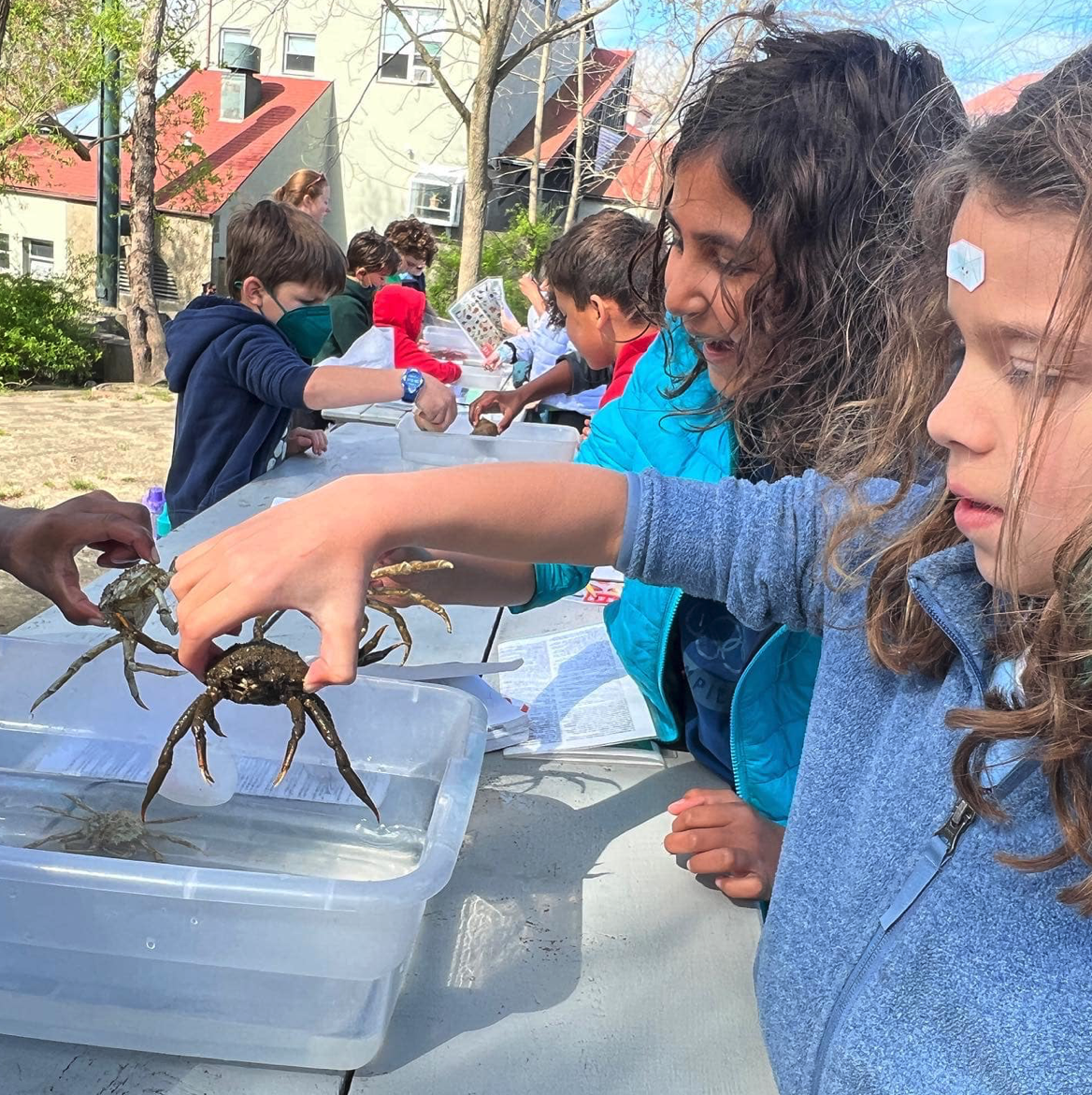 students_holding_crab