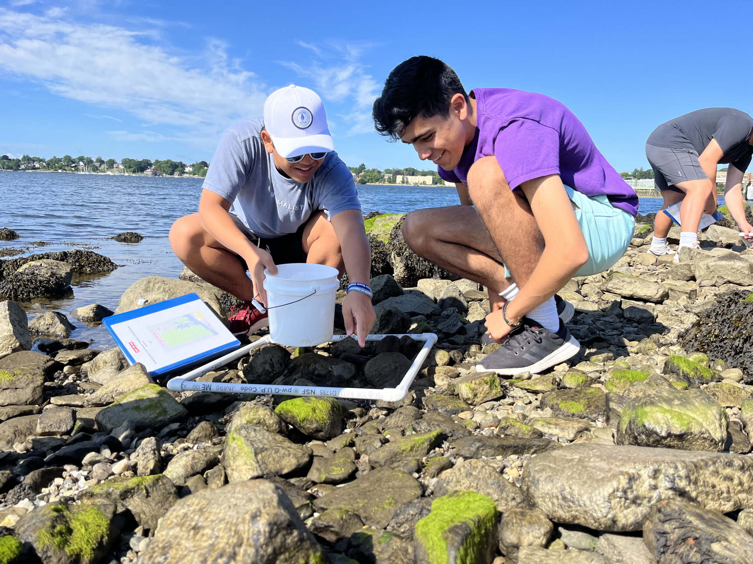 Two baycampers study items on Narragansett Bay's rocky shore