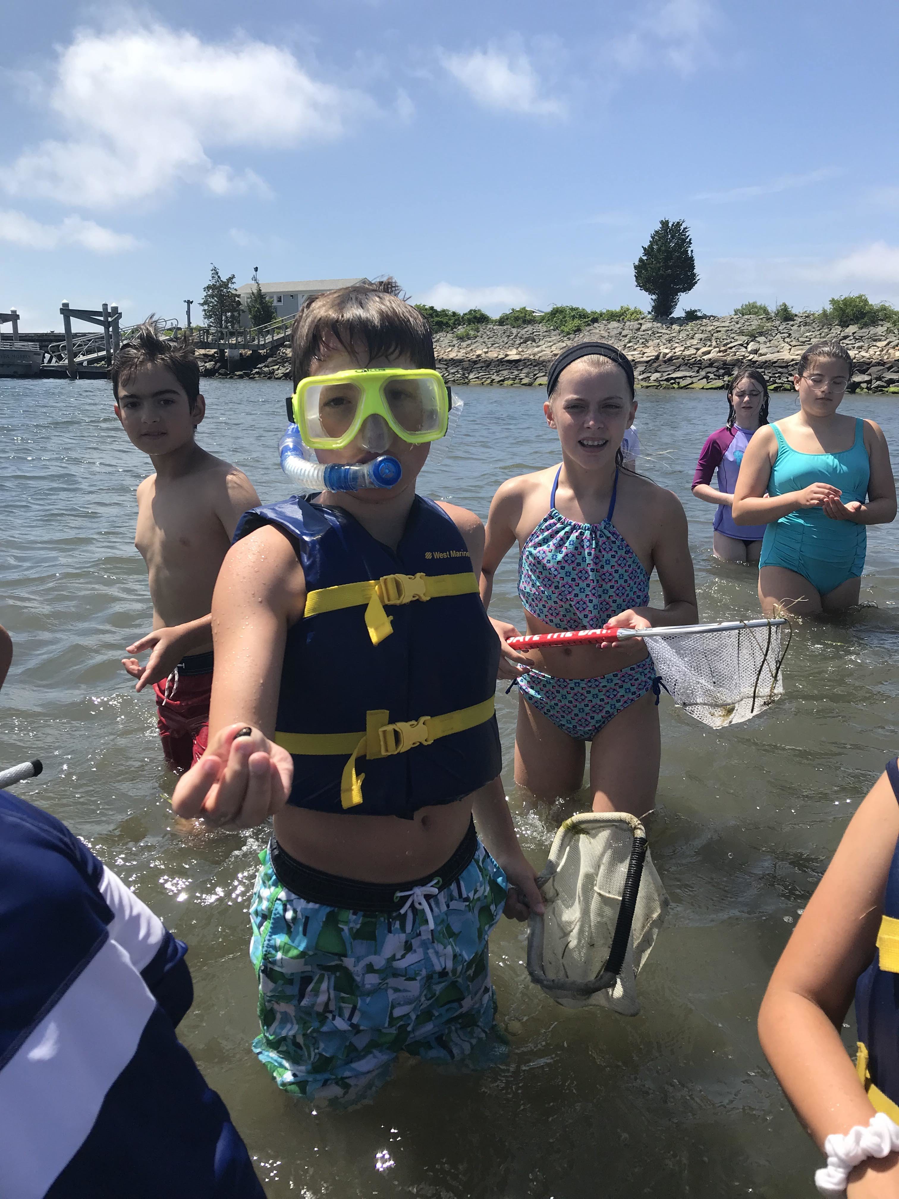 BayCampers explore marine life in Narragansett Bay