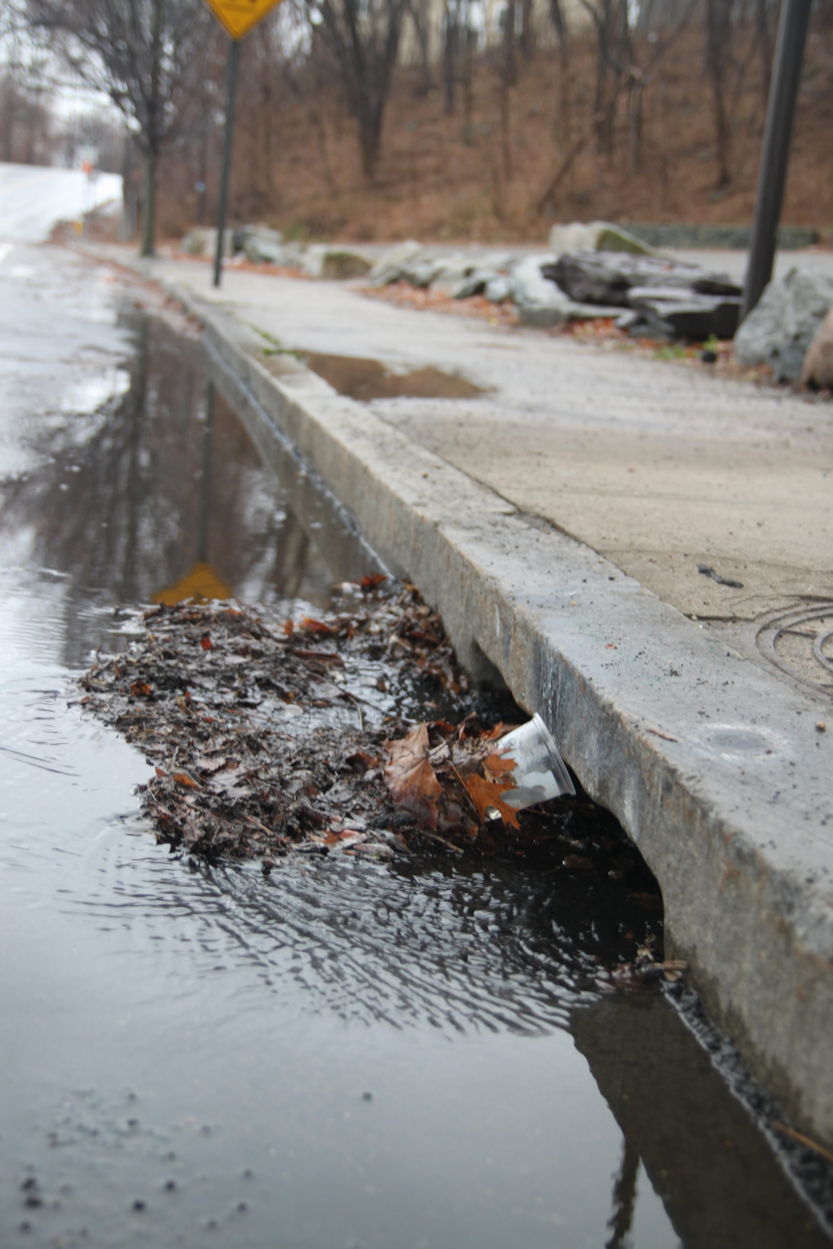 plastics-leaves-blocking-storm-drain