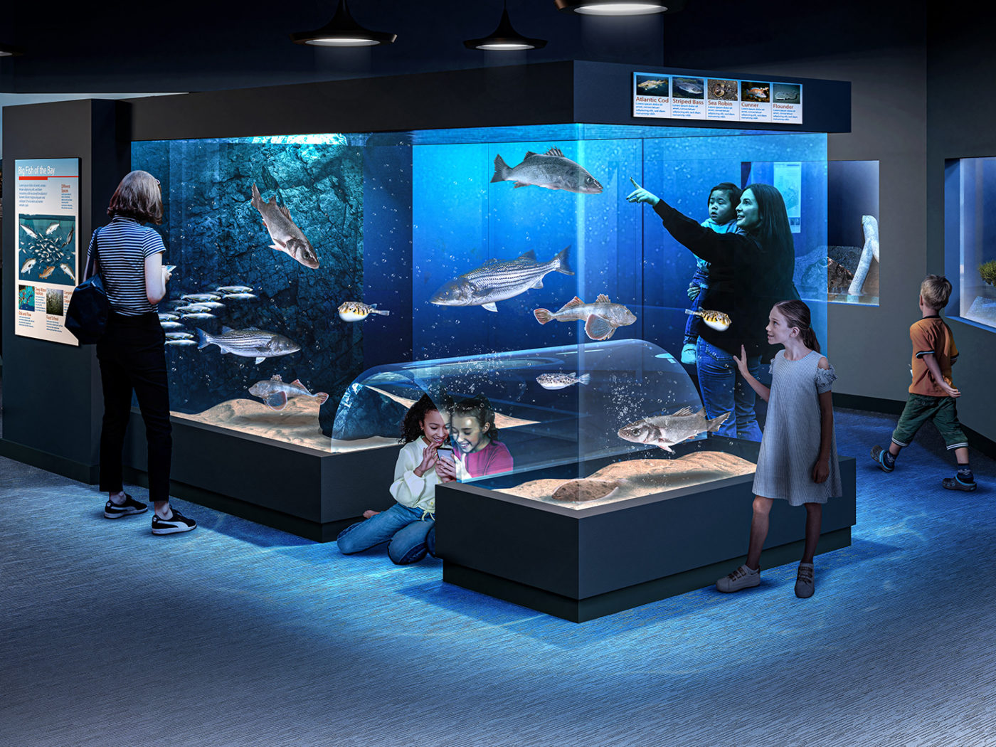 Homepage Save The Bay Narragansett Bay Join Volunteer Donate