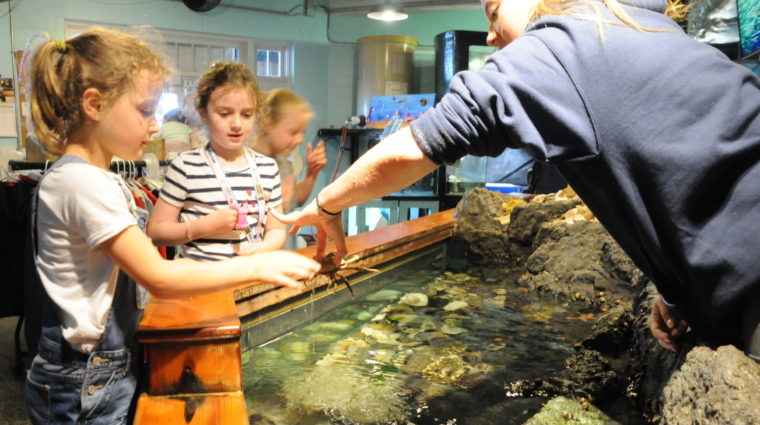 Aquarium & Education