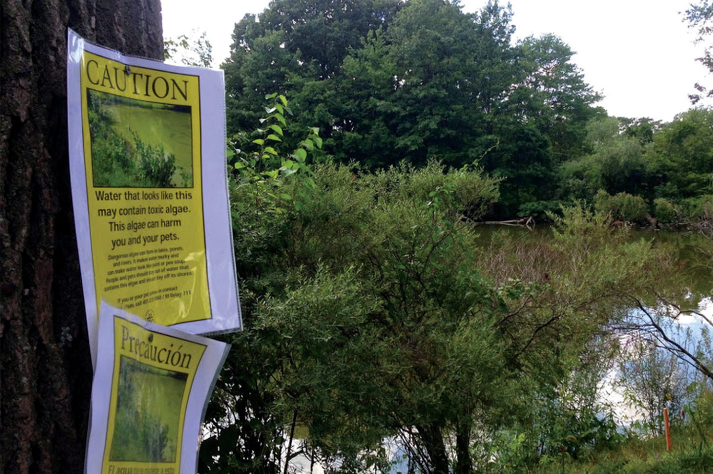 Warning-sign-at-Roger-Williams-Park-Ponds