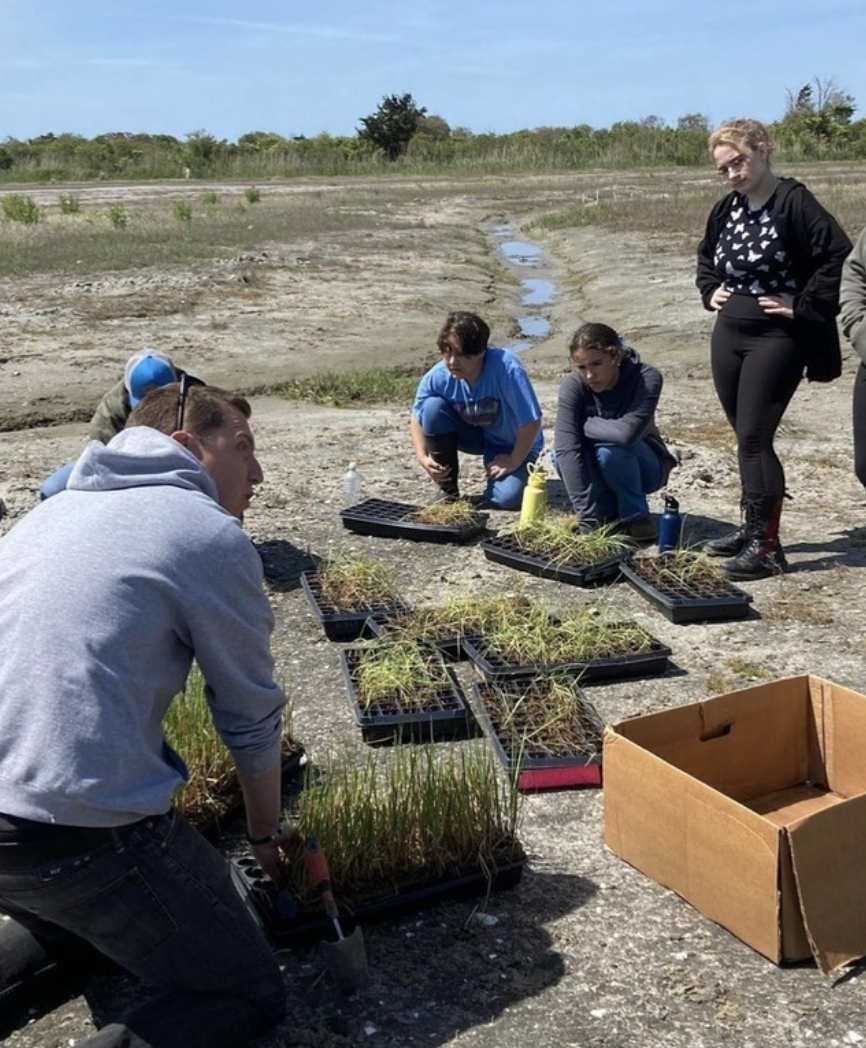 students_planting_salt_marsh_grasses