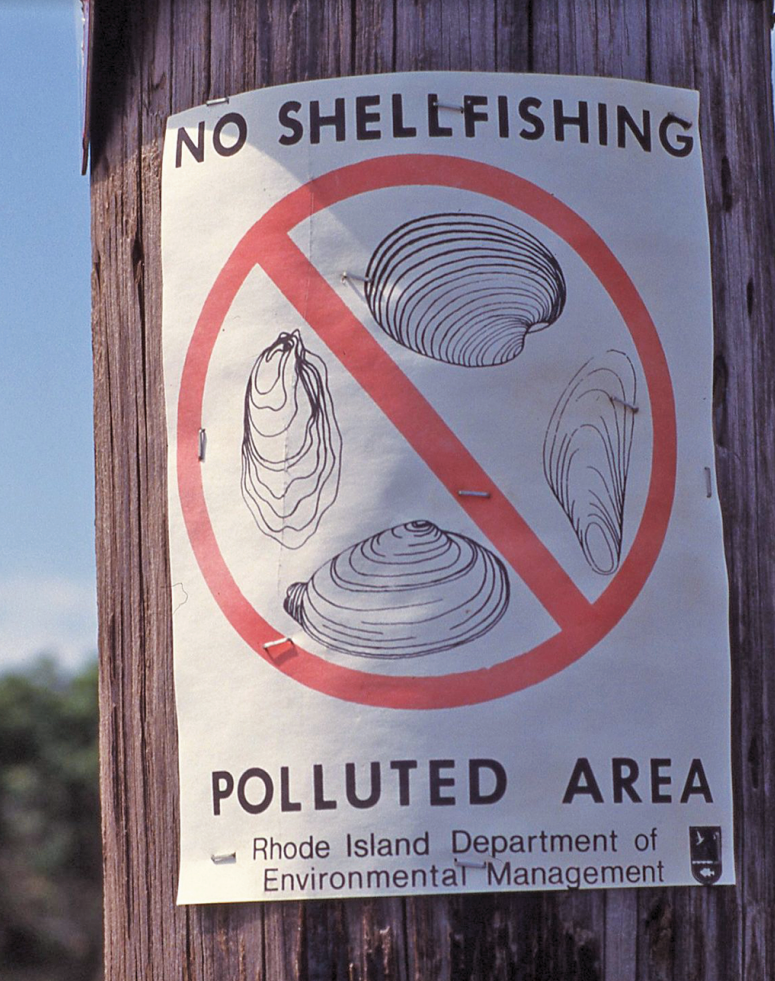 No shellfishing sign