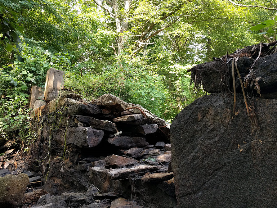 In 2018, Save The Bay assisted with the removal of the Shady Lea Mill dam in North Kingstown.