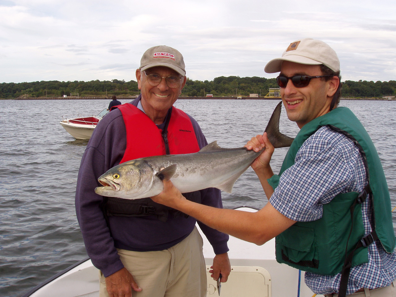Bluefish-caught-and-released-in-Narragansett-Bay