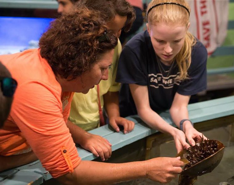 Exploration-Center-and-Aquarium-volunteer-at-tank-with-visitor 