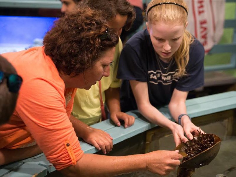 Exploration-Center-and-Aquarium-volunteer-at-tank-with-visitor