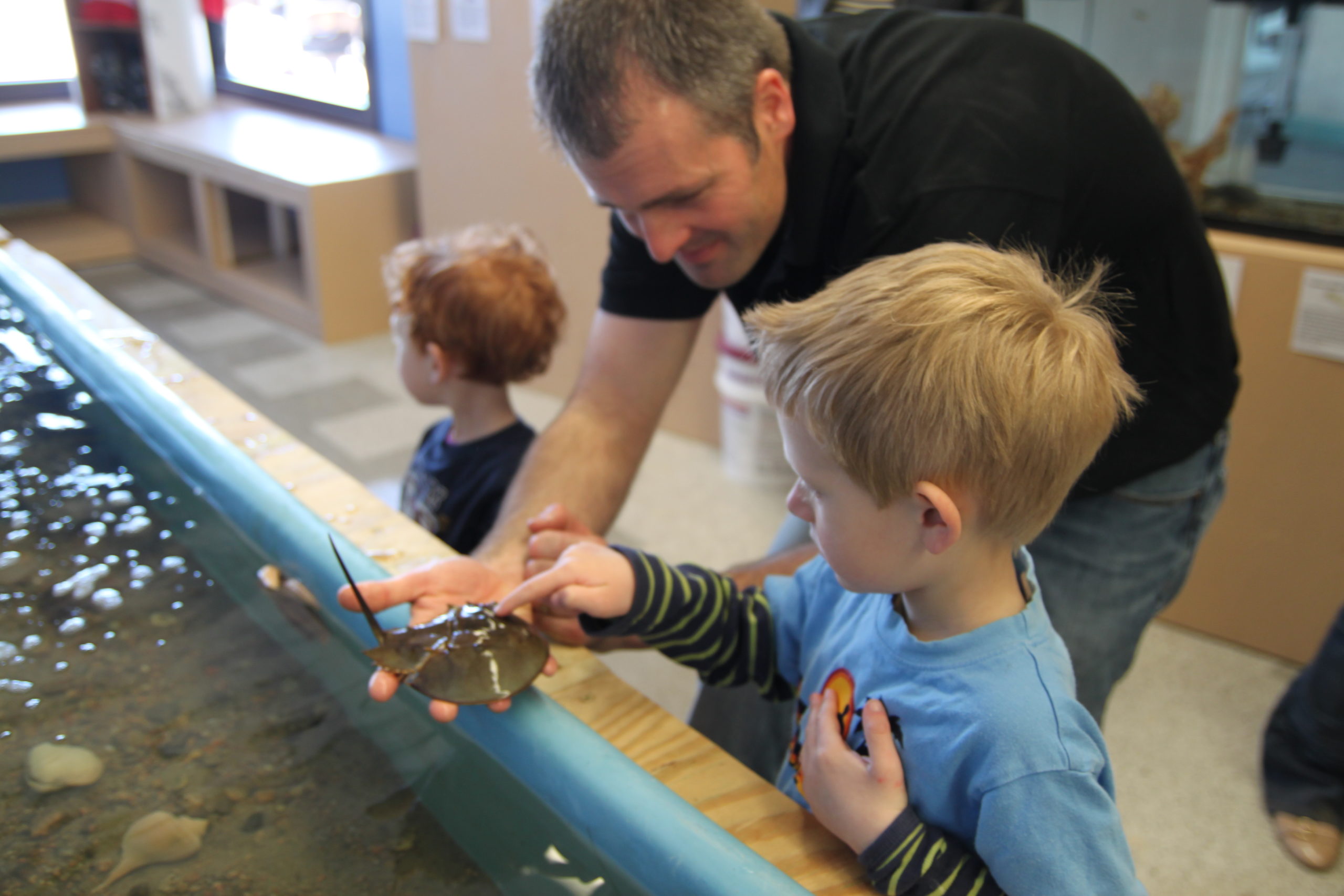 Children-at-touch-tank-South-Coast-Center-Westerly